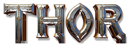 thor 311 logo